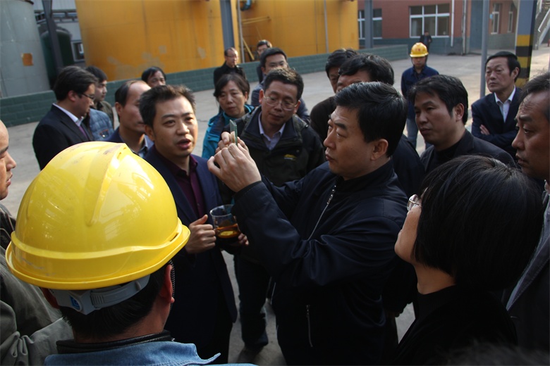 2016年11月國家能源局科技司司長(cháng)王思強在煤高效.JPG