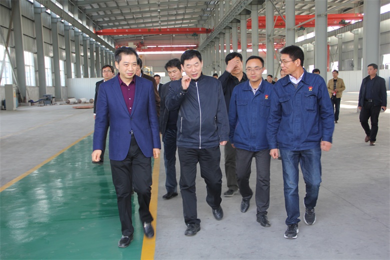 2016年11月國家能源局科技司司長(cháng)王思強在特材.JPG